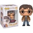 POP Funko Harry Potter Two Wands 118 Wizarding World