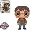POP Funko Harry Potter Two Wands 118 Wizarding World