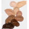 FILTERDROP SKIN TINT - Finish Naturale, 100% Blurring